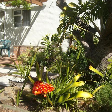 بلوبيرجستراند Be My Guest Lodge الغرفة الصورة