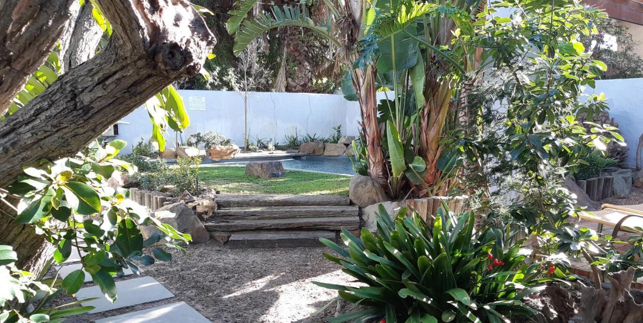 بلوبيرجستراند Be My Guest Lodge المظهر الخارجي الصورة