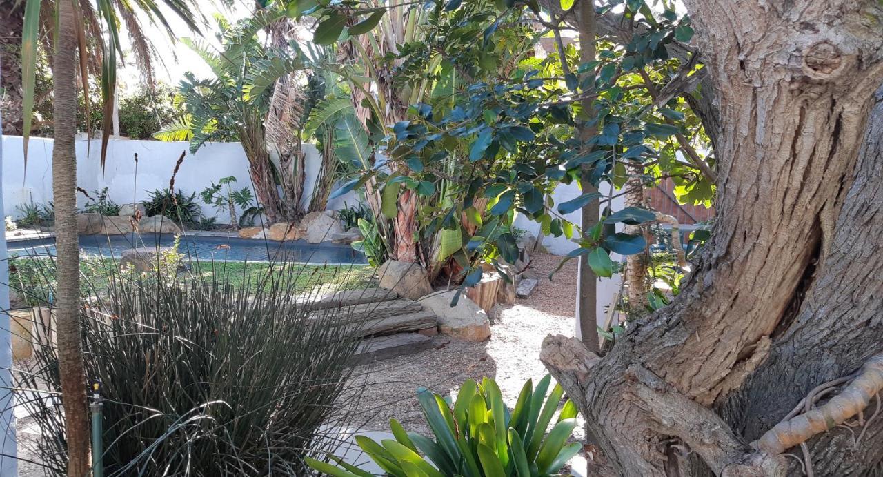 بلوبيرجستراند Be My Guest Lodge المظهر الخارجي الصورة
