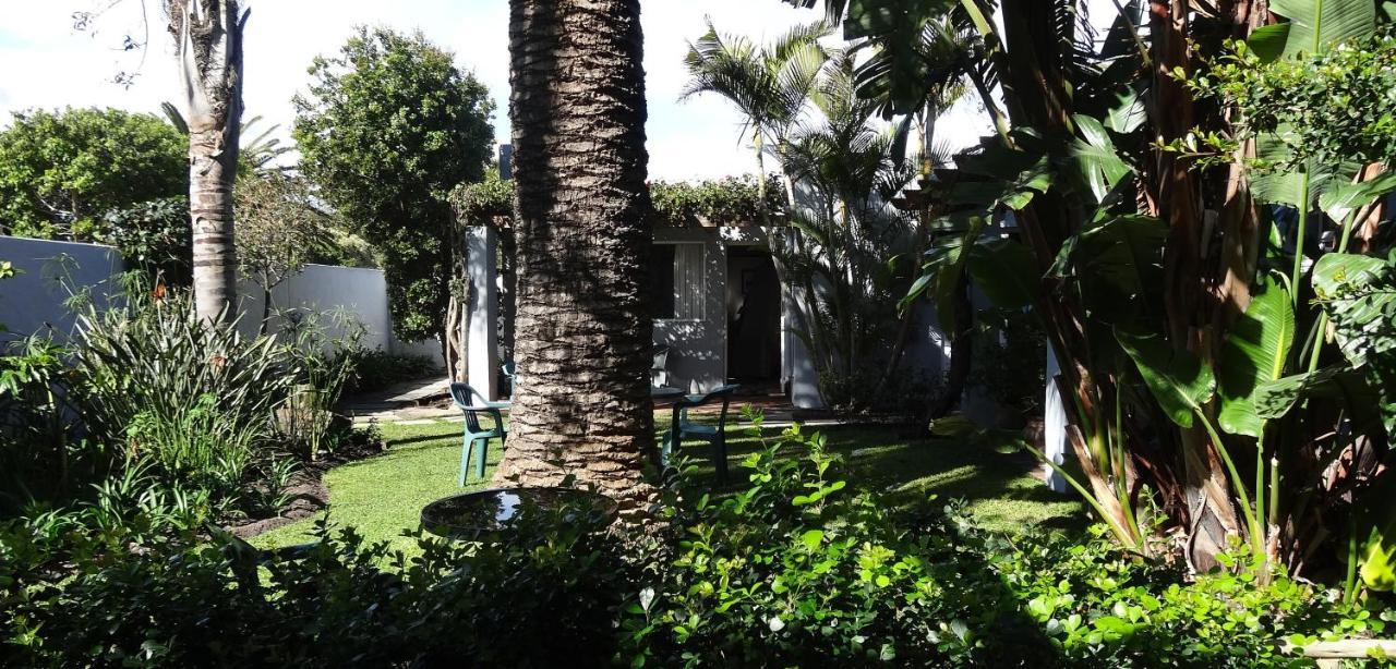 بلوبيرجستراند Be My Guest Lodge المظهر الخارجي الصورة